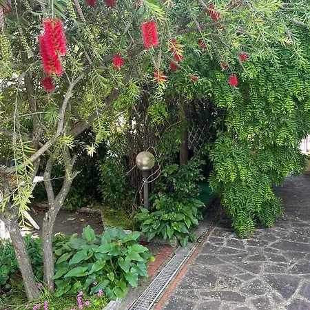 La Casa Di Mary Castiglion Fiorentino