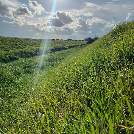 La Casa Di Mary Hébergement de vacances Castiglion Fiorentino